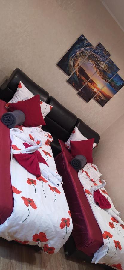 Apartment Velvita